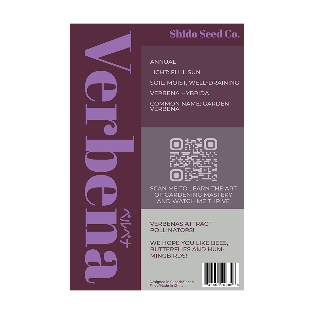 Verbena Flower Seeds Packet - Chive UK