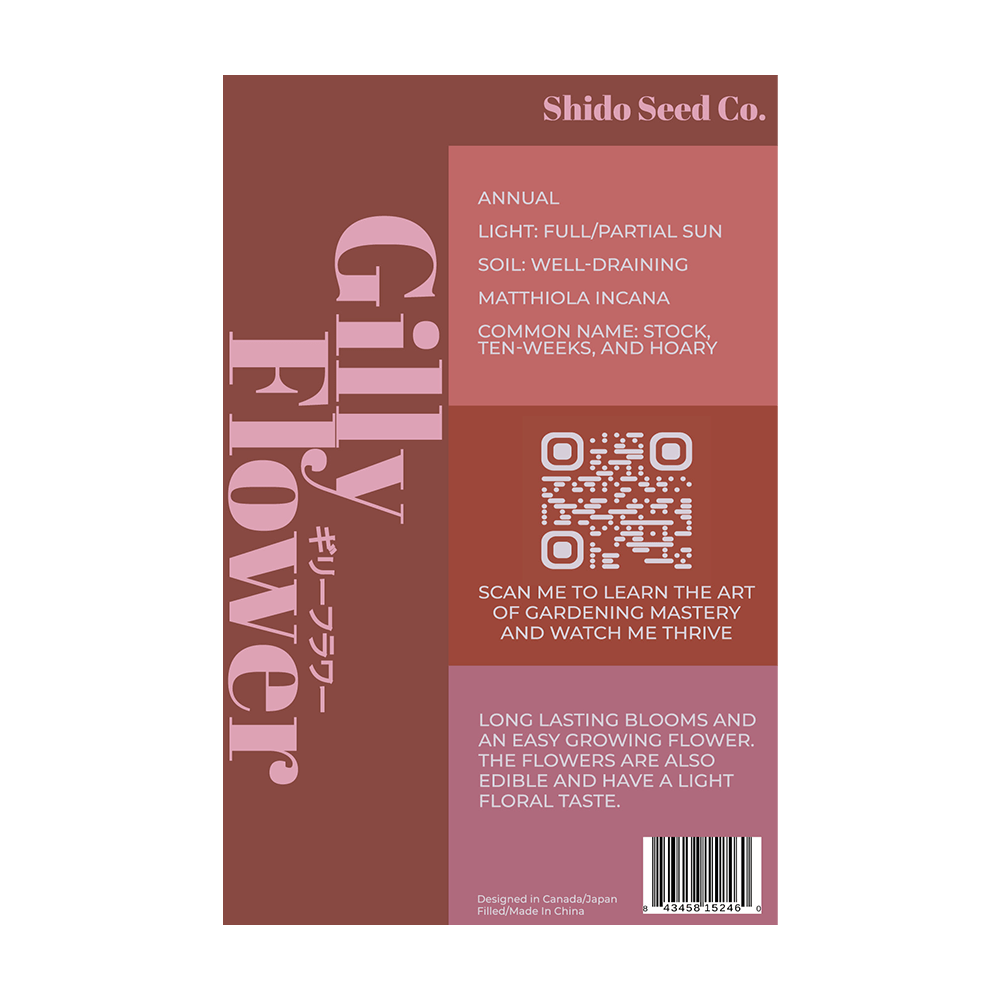 Gilly Flower Seeds Packet - Chive UK