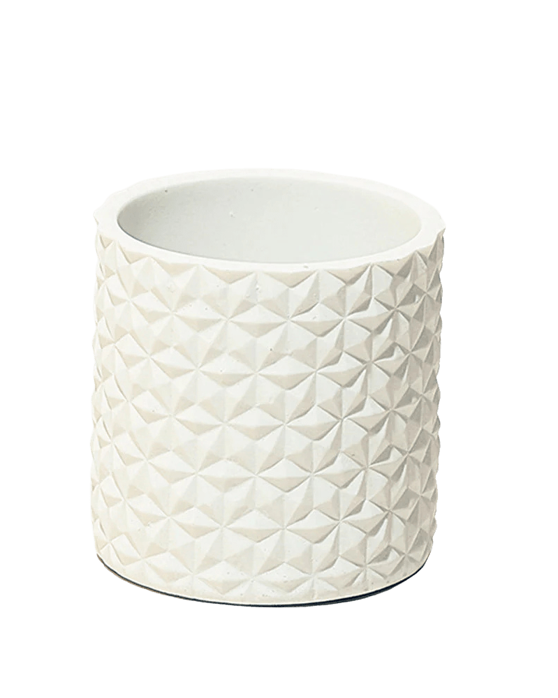 Stagma Resin Planter Pot - Chive UK