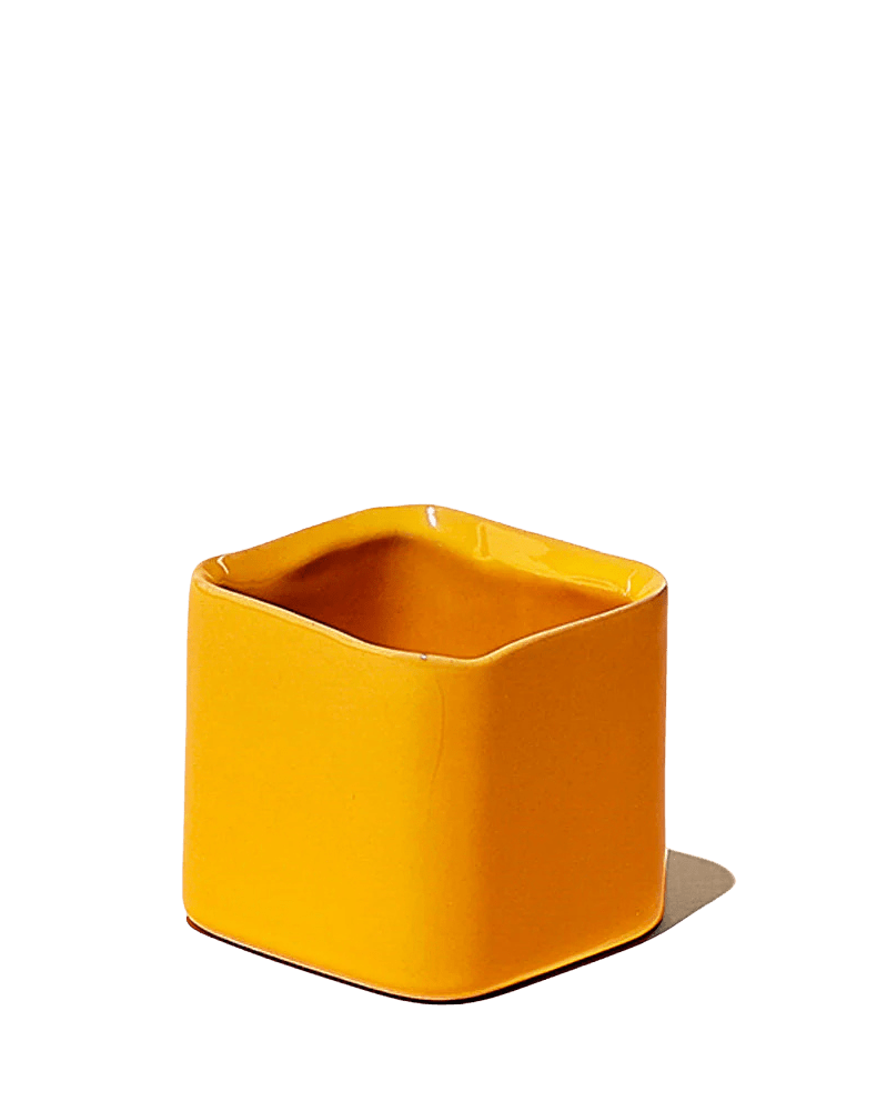 Svek Ceramic Indoor Succulent Pot - Chive UK