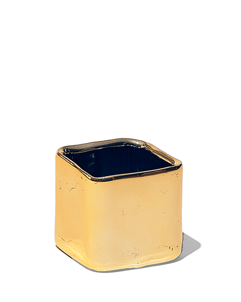 Svek Ceramic Indoor Succulent Pot - Chive UK