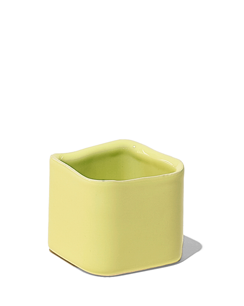 Svek Ceramic Indoor Succulent Pot - Chive UK
