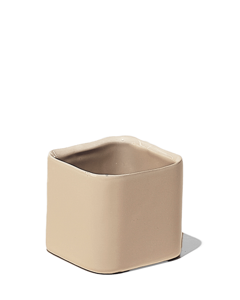 Svek Ceramic Indoor Succulent Pot - Chive UK