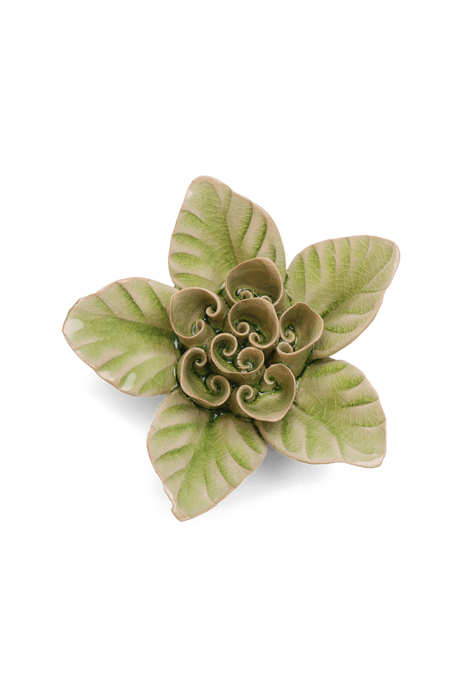 Peridot Green Maiden Lotus - Chive UK