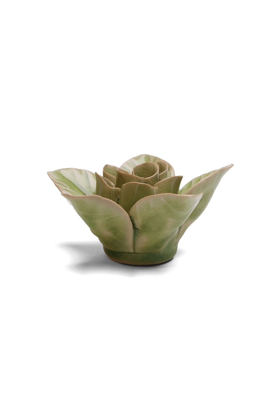 Peridot Green Maiden Lotus - Chive UK