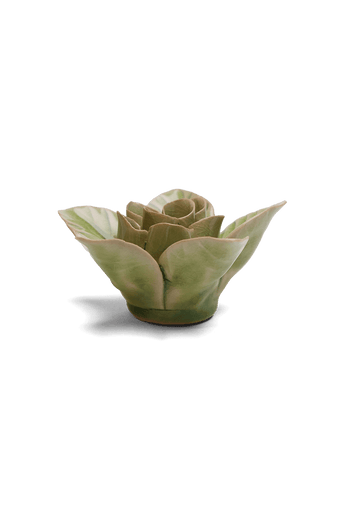 Peridot Green Maiden Lotus - Chive UK