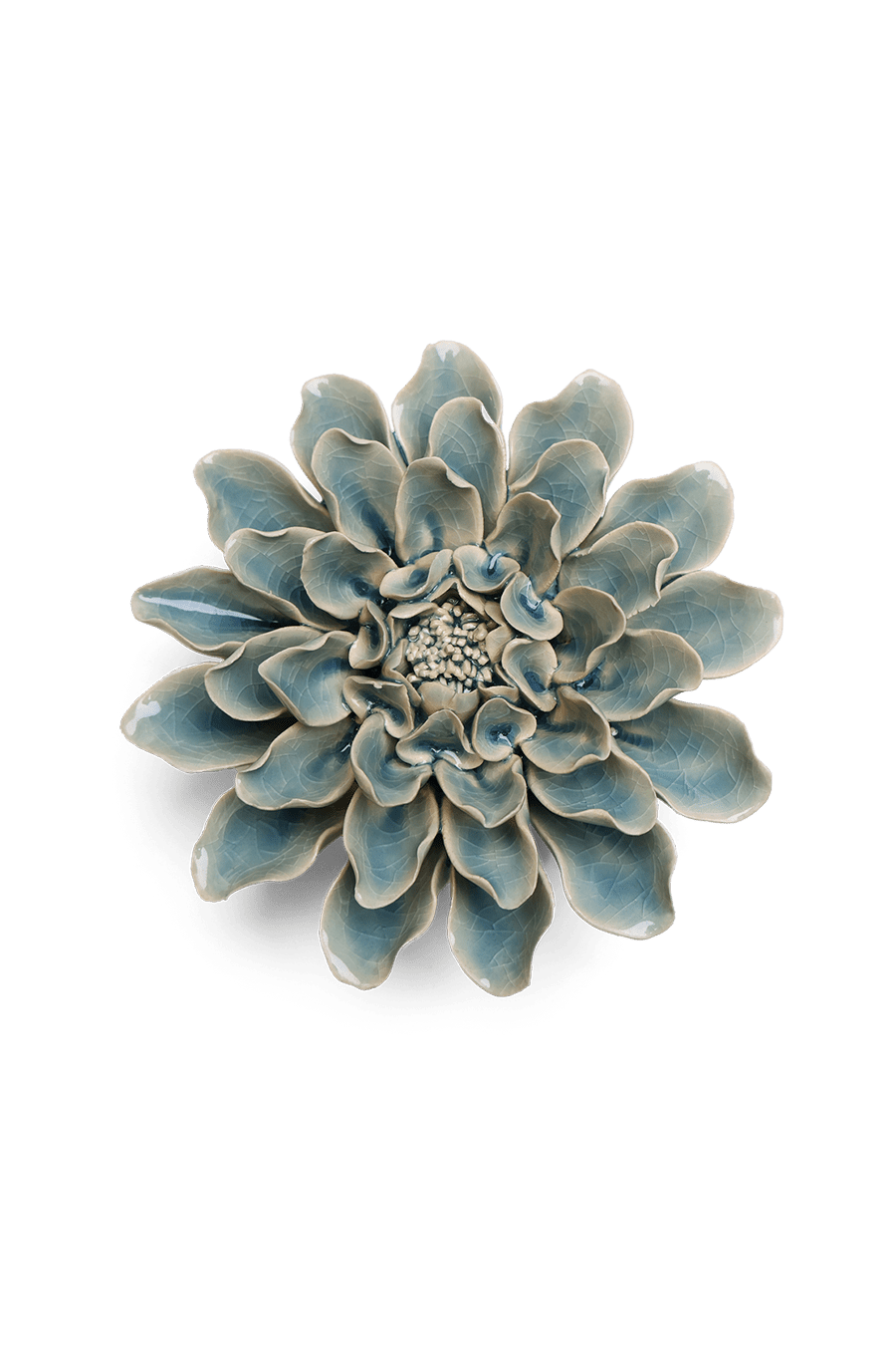Powder Blue Aphrodite Dahlia - Chive UK