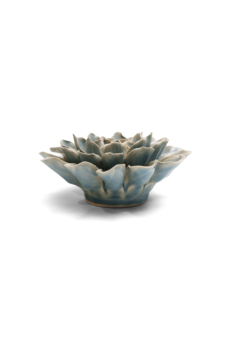 Powder Blue Aphrodite Dahlia - Chive UK