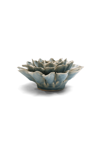 Powder Blue Aphrodite Dahlia - Chive UK