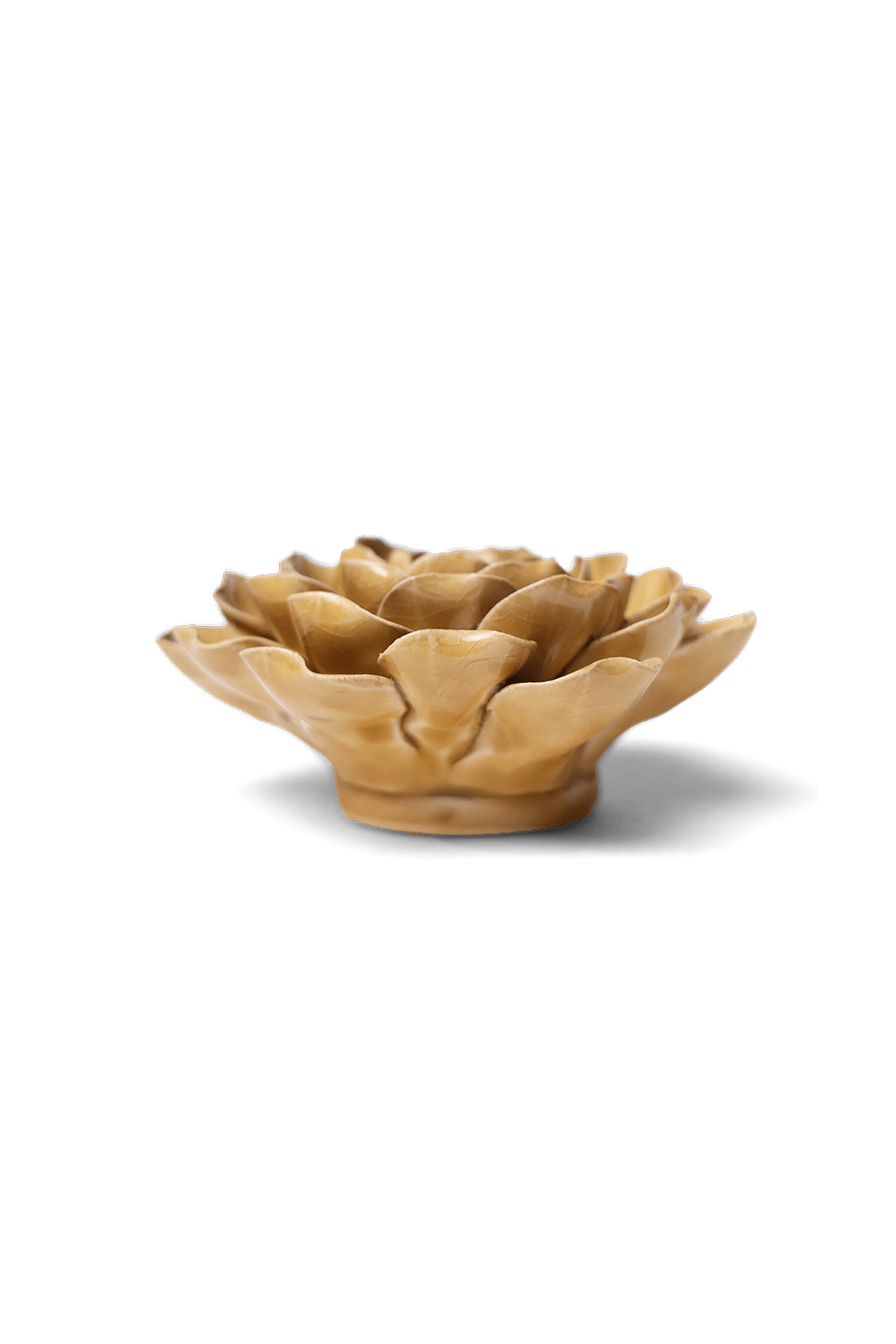 Caramel Charm Peony - Chive UK