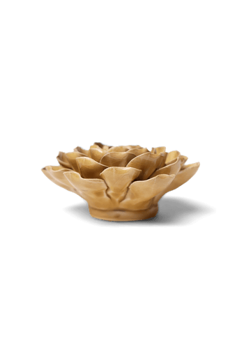 Caramel Charm Peony - Chive UK