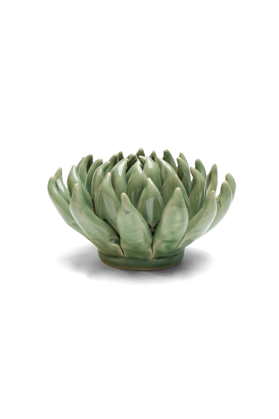 Jade Green Succulent - Chive UK