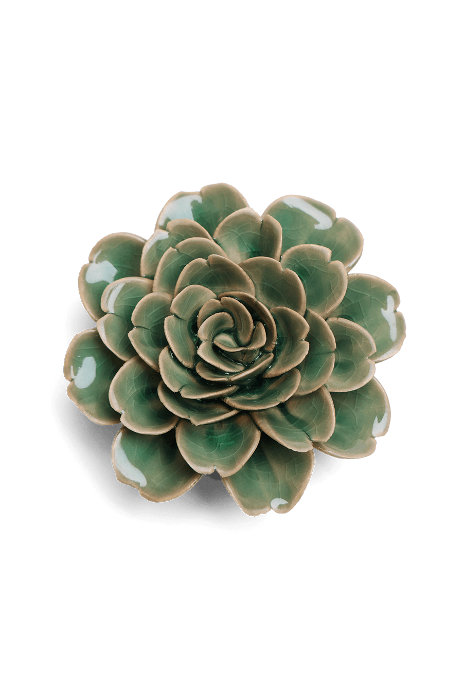 Jungle Green Tea Rose - Chive UK