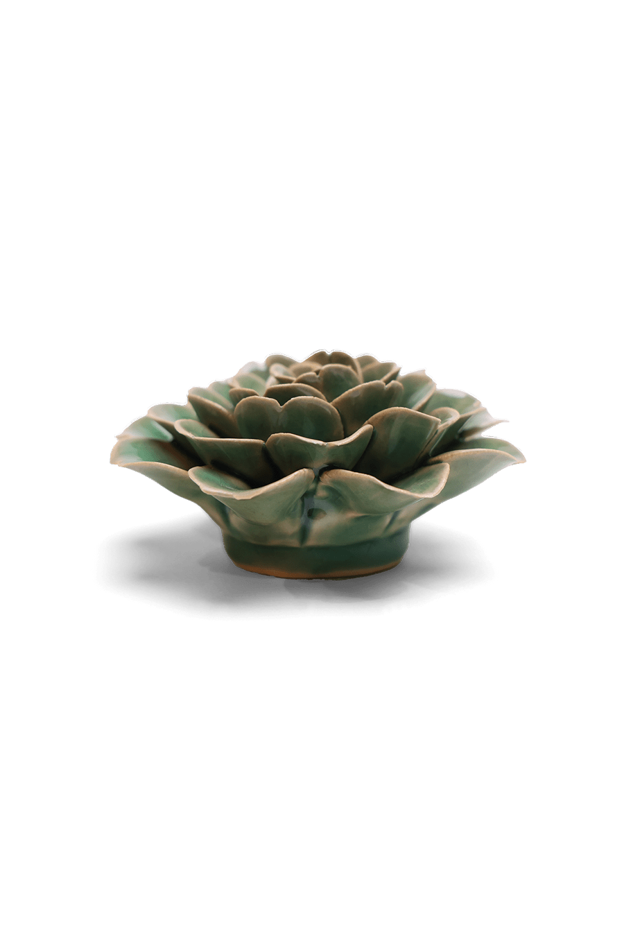 Jungle Green Tea Rose - Chive UK