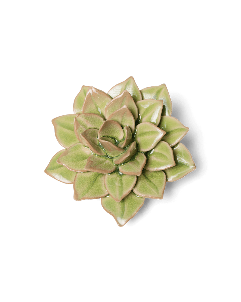 【✦echeveria✦再販受注生産✦size1✦Olive✦leather✦】 Olivia_Product_1024x1024.jpg?v