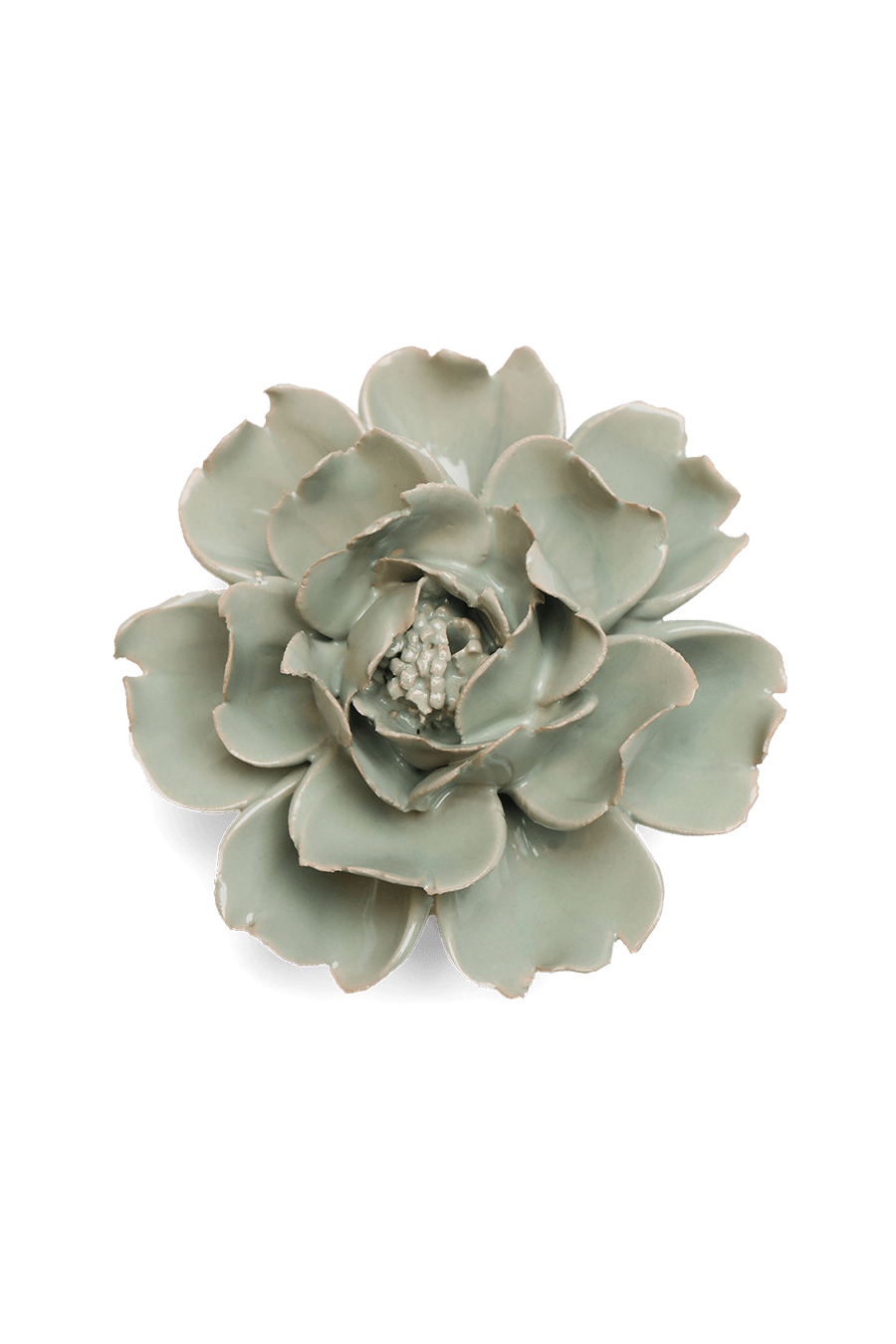 Pistachio Green Rose - Chive UK