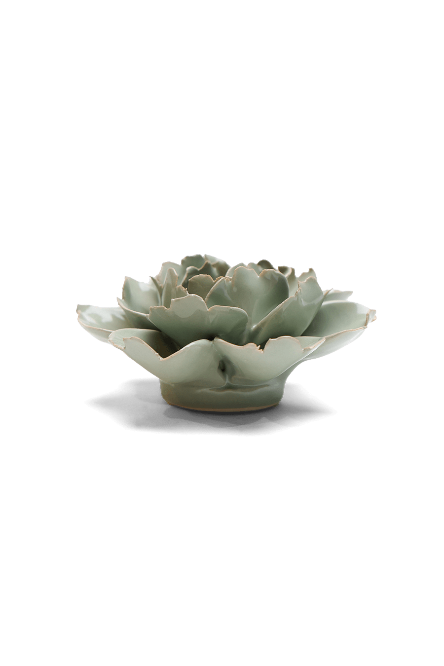 Pistachio Green Rose - Chive UK