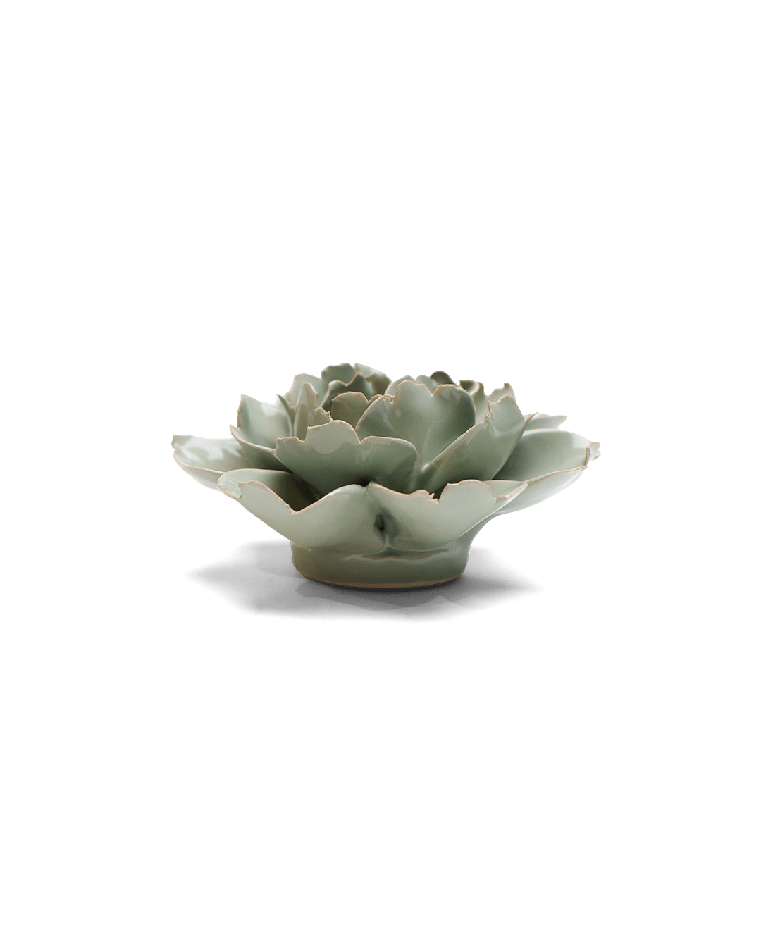 Pistachio Green Rose - Chive UK