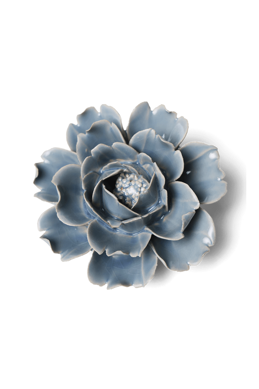 Pastel Blue Rose - Chive UK