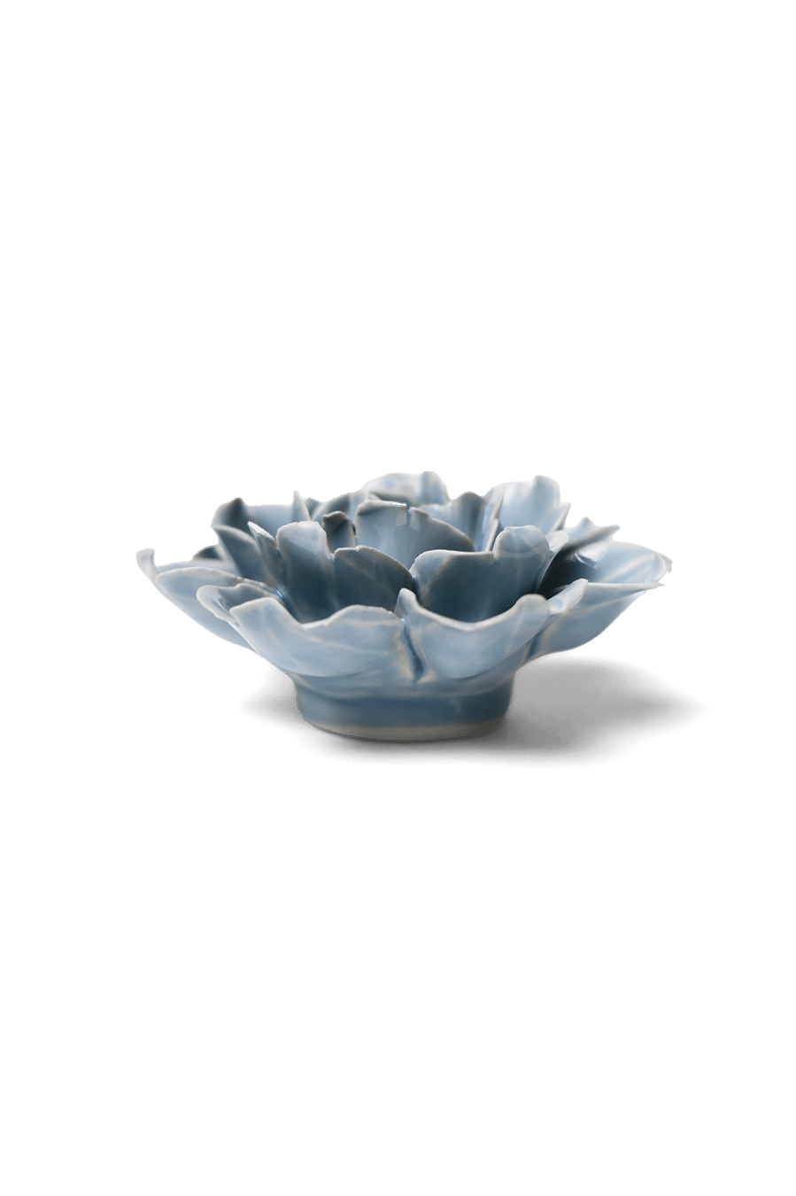 Pastel Blue Rose - Chive UK