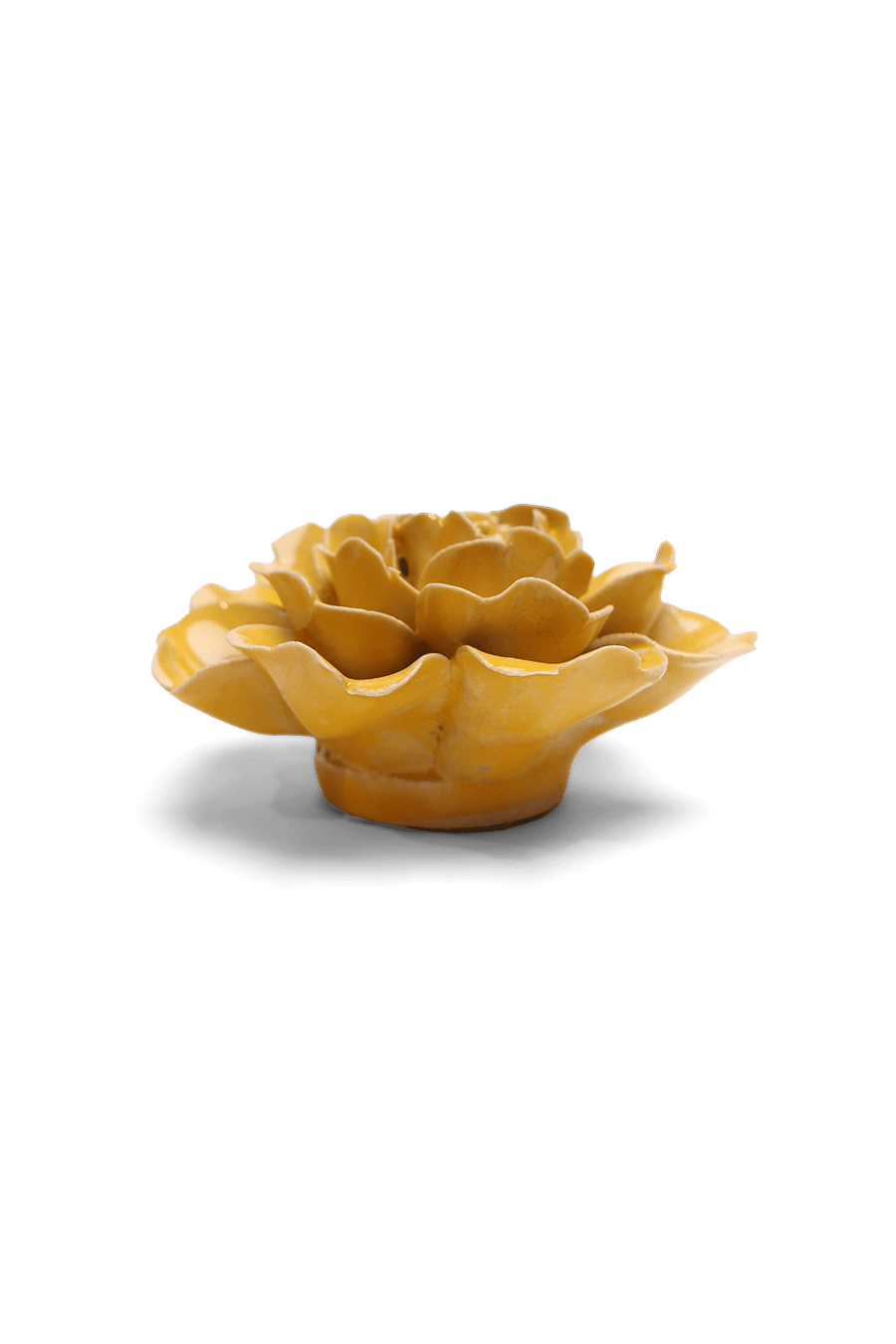 Burnt Yellow Rose - Chive UK