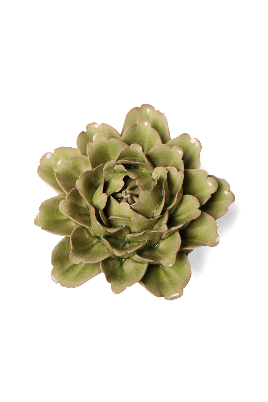 Peridot Comanche Peony - Chive UK