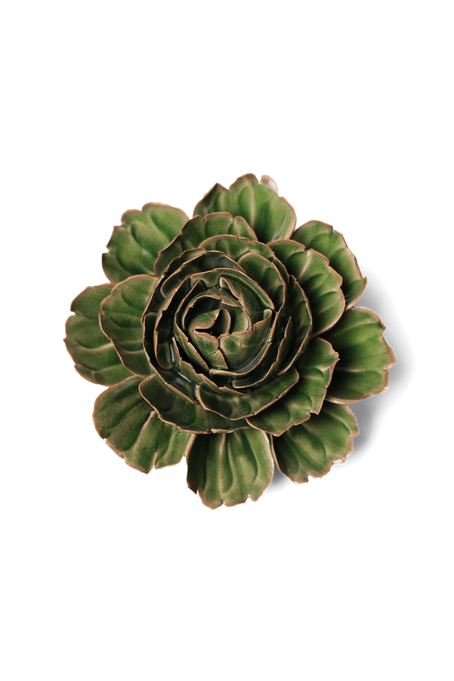 Avocado Green Rozella Peony - Chive UK