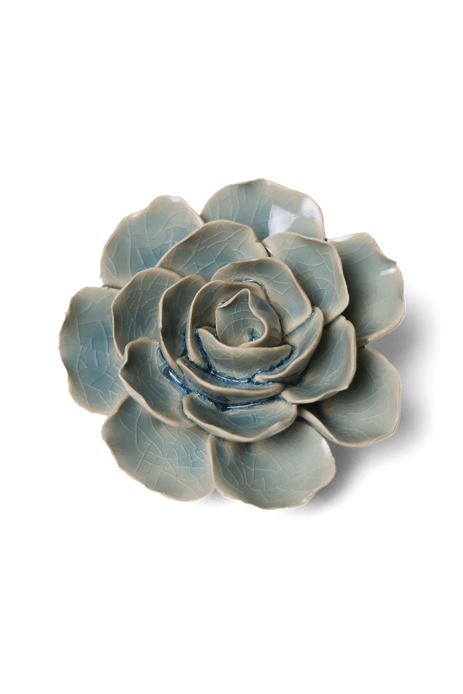 Powder Blue Amandine Ranunculus - Chive UK