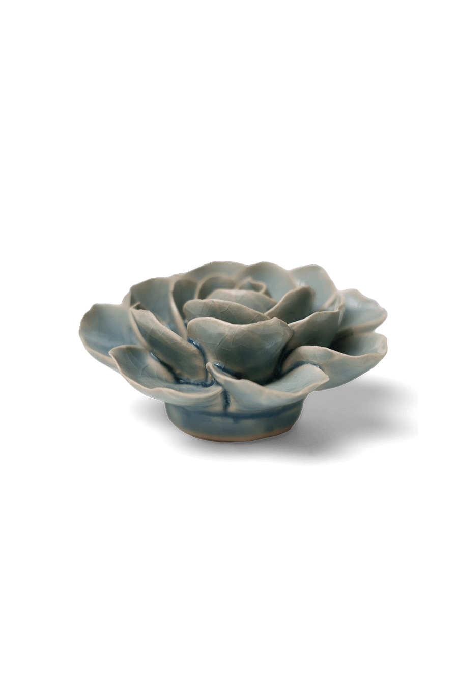 Powder Blue Amandine Ranunculus - Chive UK