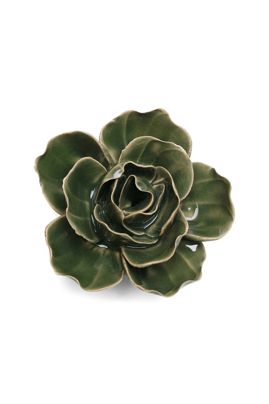 Fir Green Butterfly Ranunculus - Chive UK