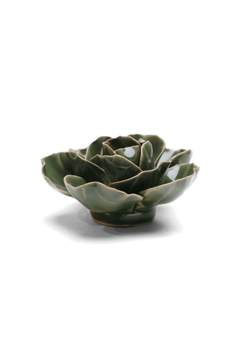 Fir Green Butterfly Ranunculus - Chive UK