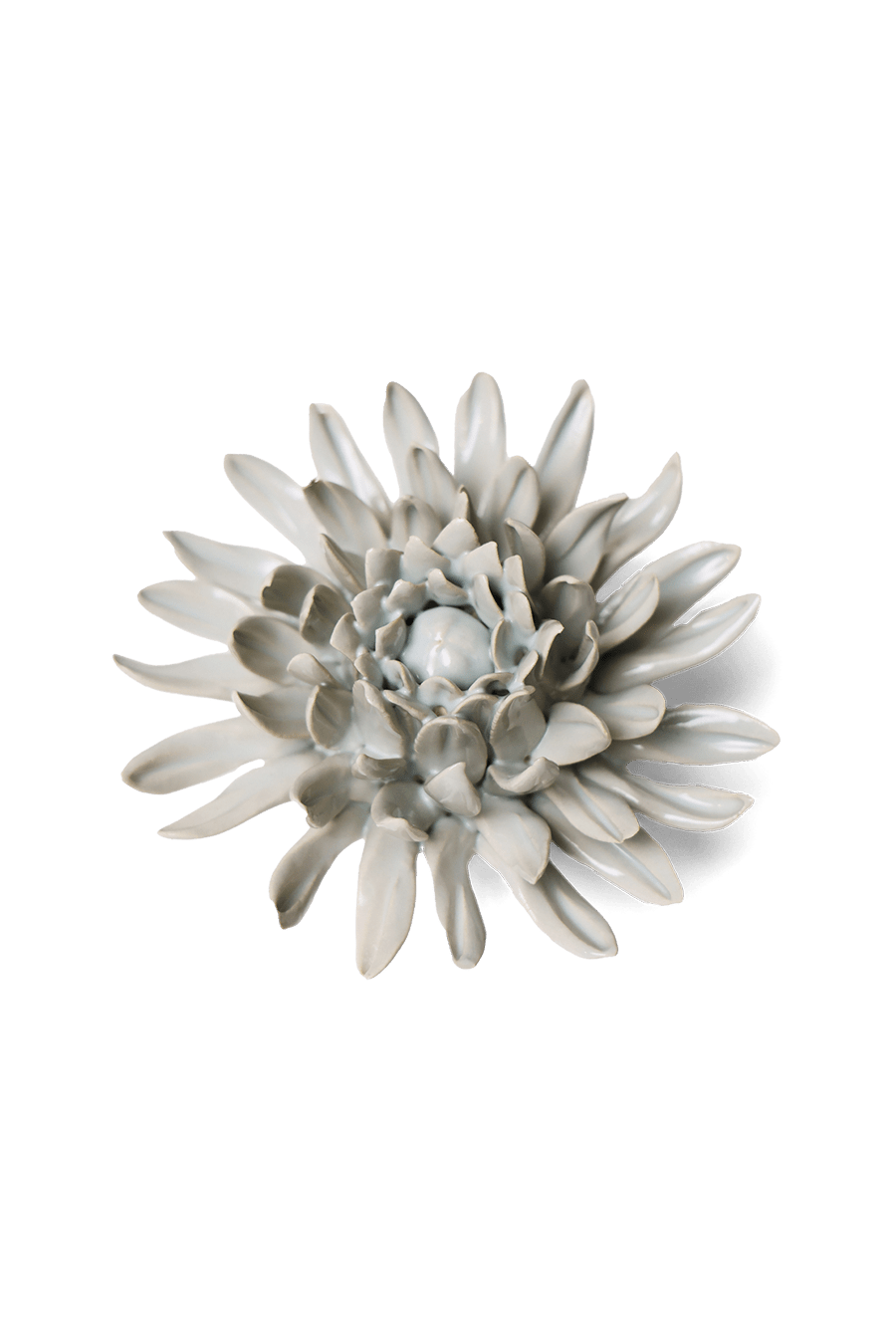 Panache Green Spider Mum - Chive UK