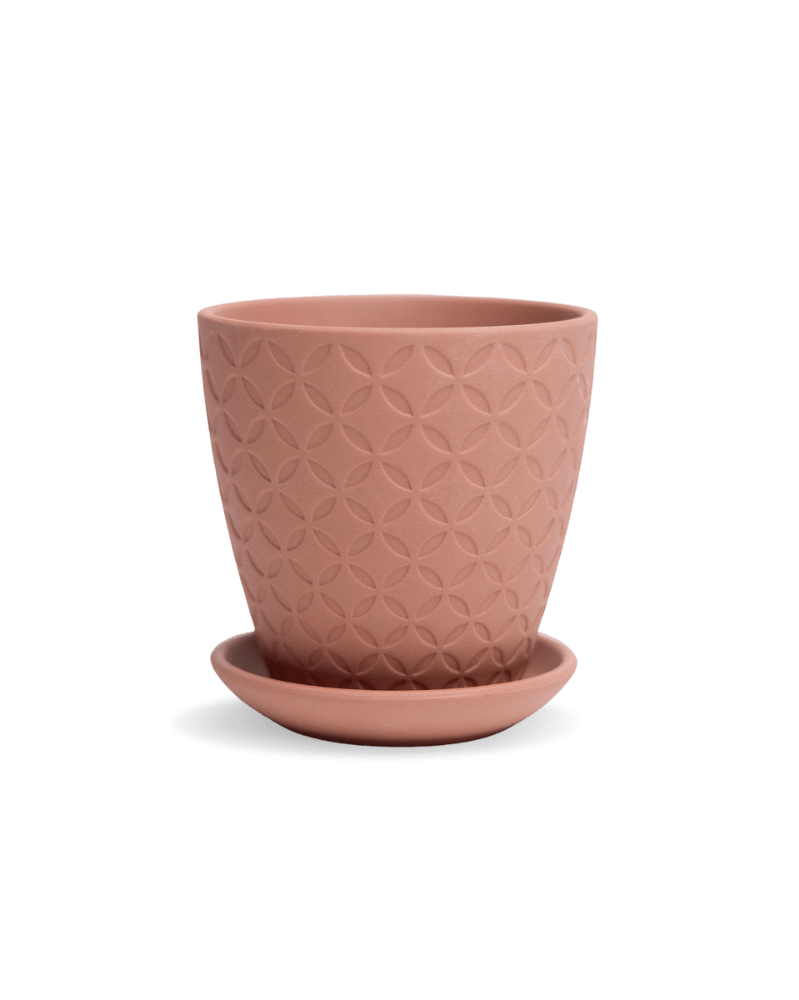 Virago 3.5" Porcelain Pot With Drainage Hole And Saucer - Chive UK