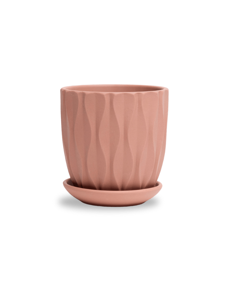 Virago 3.5" Porcelain Pot With Drainage Hole And Saucer - Chive UK