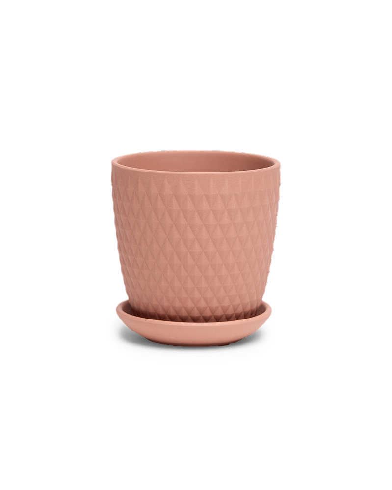 Virago 3.5" Porcelain Pot With Drainage Hole And Saucer - Chive UK