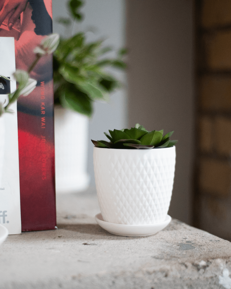 Virago 5" Porcelain Pot With Drainage Hole And Saucer - Chive UK
