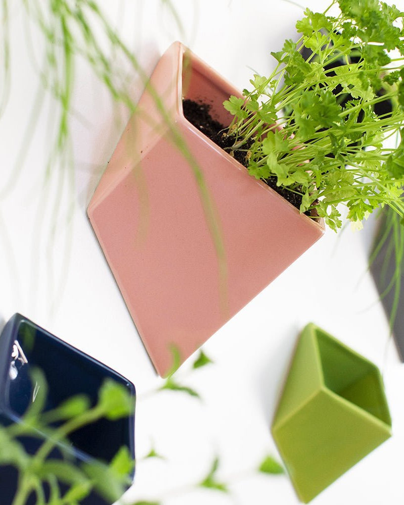 Slab Wall Planter For Succulents - Chive UK
