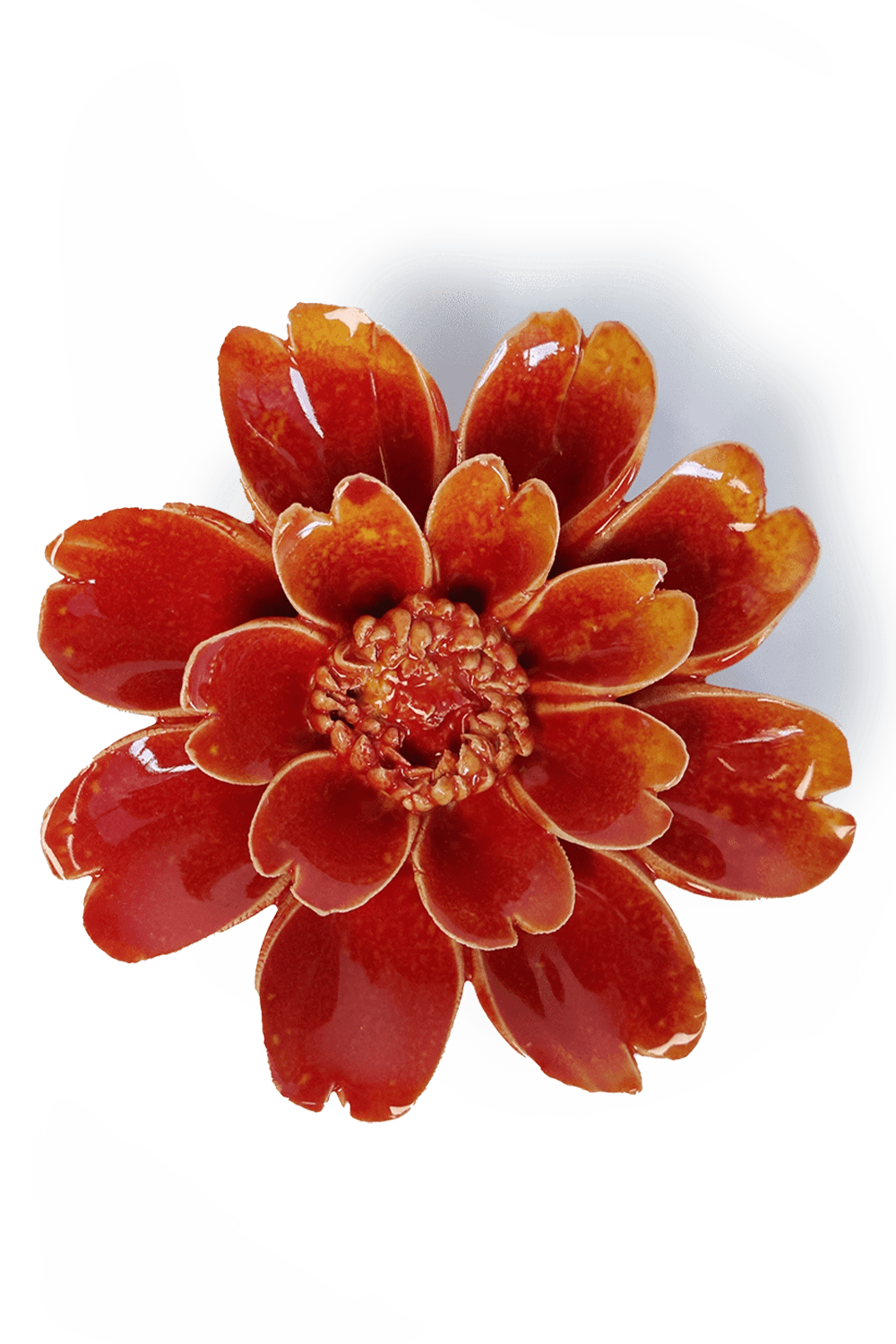 April Birth Flower - Daisy - Chive UK