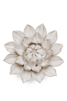 Ivory Monch Aster - Chive UK