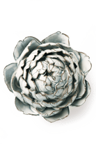Blue White Queen Protea - Chive UK