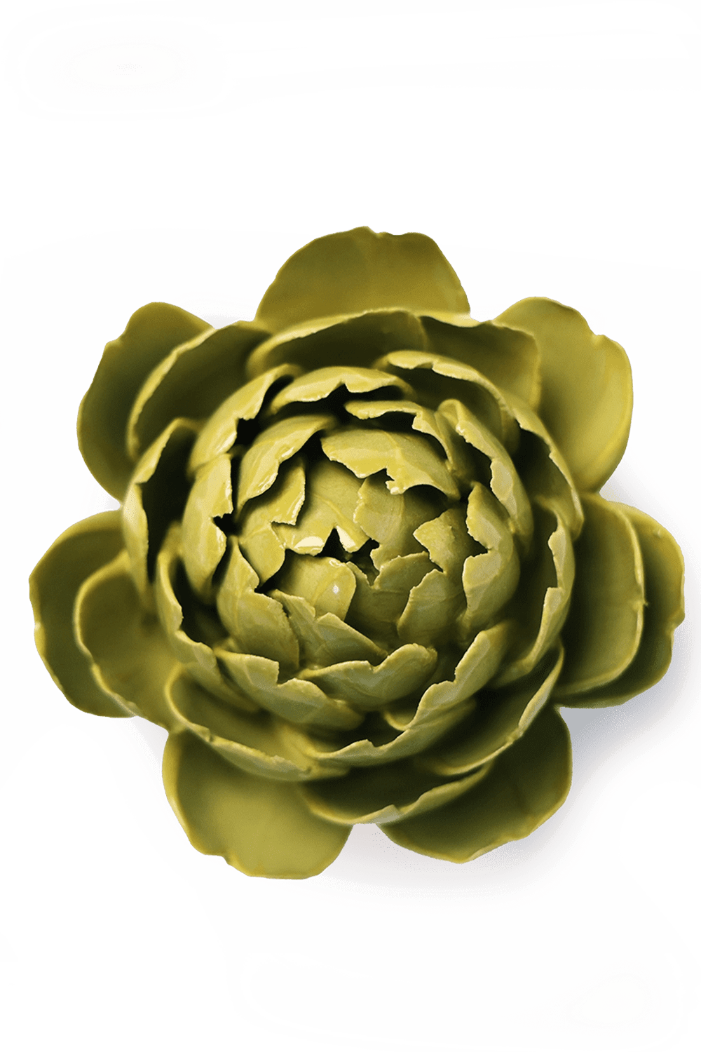 Chartreuse Queen Protea - Chive UK