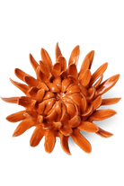 Orange Sarah Mum - Chive UK