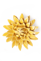 Burnt Yellow Strawflower - Chive UK