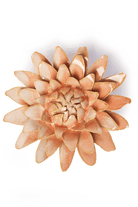 Peach Pink Strawflower - Chive UK