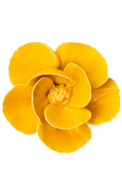 Burnt Yellow Poppy - Chive UK