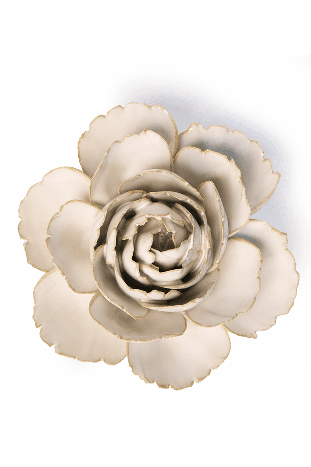 Ivory English Rose - Chive UK