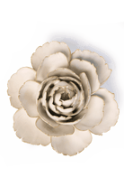 Ivory English Rose - Chive UK