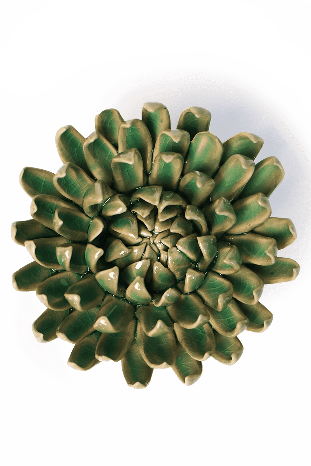 Jungle Green Pompom Mum - Chive UK