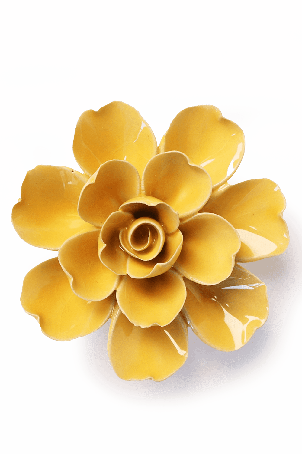 Burnt Yellow Tahitian Gardenia - Chive UK