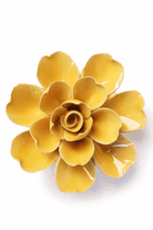 Burnt Yellow Tahitian Gardenia - Chive UK